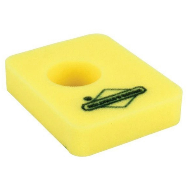 Vendita online Filtro aria Briggs & Stratton 09P